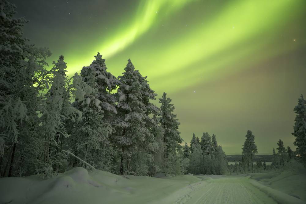 Northern Lights Safari in Finland